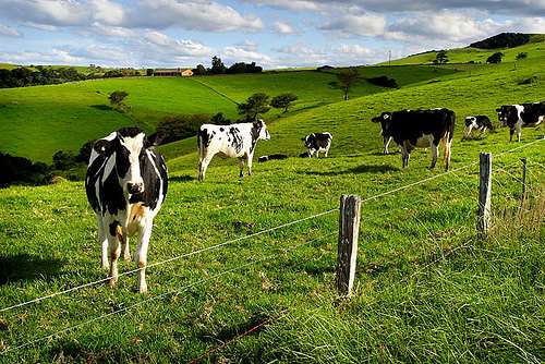 Hinterland Farming